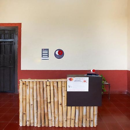 Capital O Hacienda Yunku Hotel, Yucatan Mérida Εξωτερικό φωτογραφία